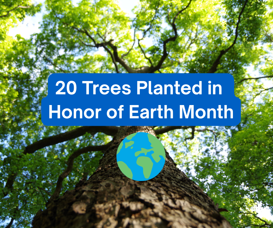 20 trees planted for Earth Month in April